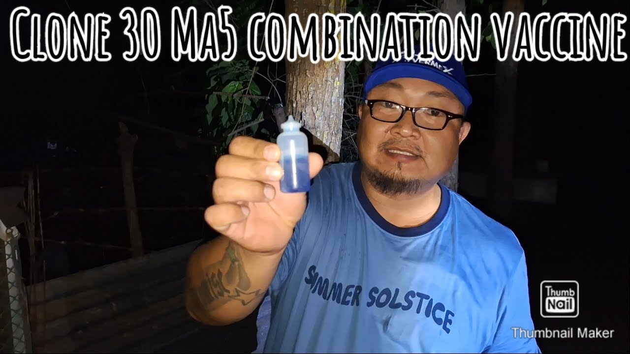 Combination vaccine para sa mga alagang manok