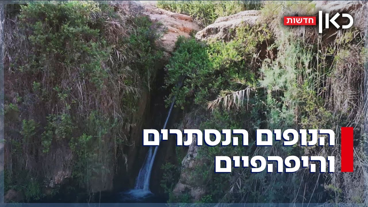 המקום שבו הטבע חוגג: הצצה לבקעת הירדן שאנחנו לא מכירים - והמפל הסודי
