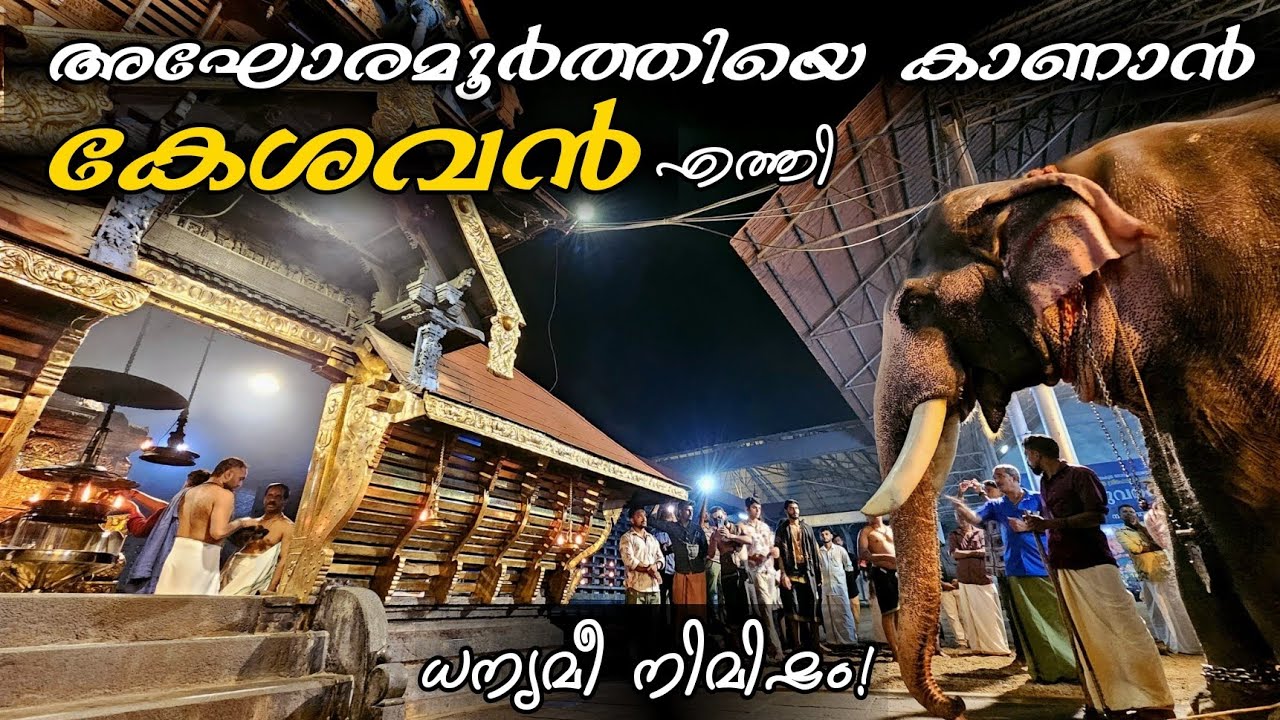 കേശവൻ ഏറ്റുമാനൂരിൽ! Kesavan's temple visit! Ettumanoor Sree Mahadeva Temple | Puthuppally Kesavan 