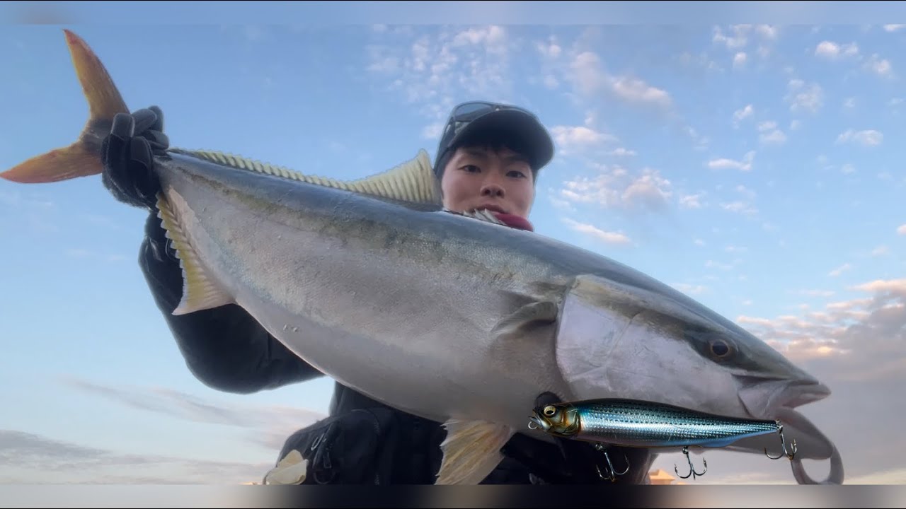 湾奥青物をデカトップで狙う　メガドッグ220ブリトップ