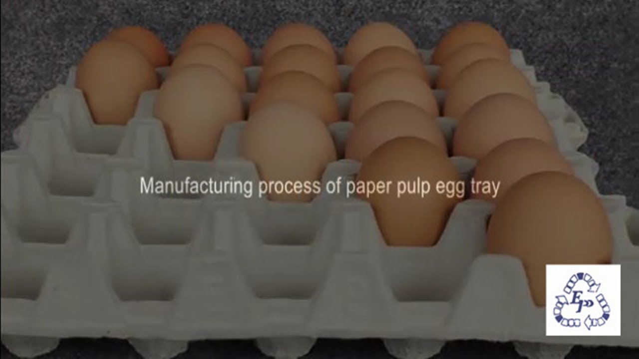 Manufacturing Process of Paper Pulp Egg Tray