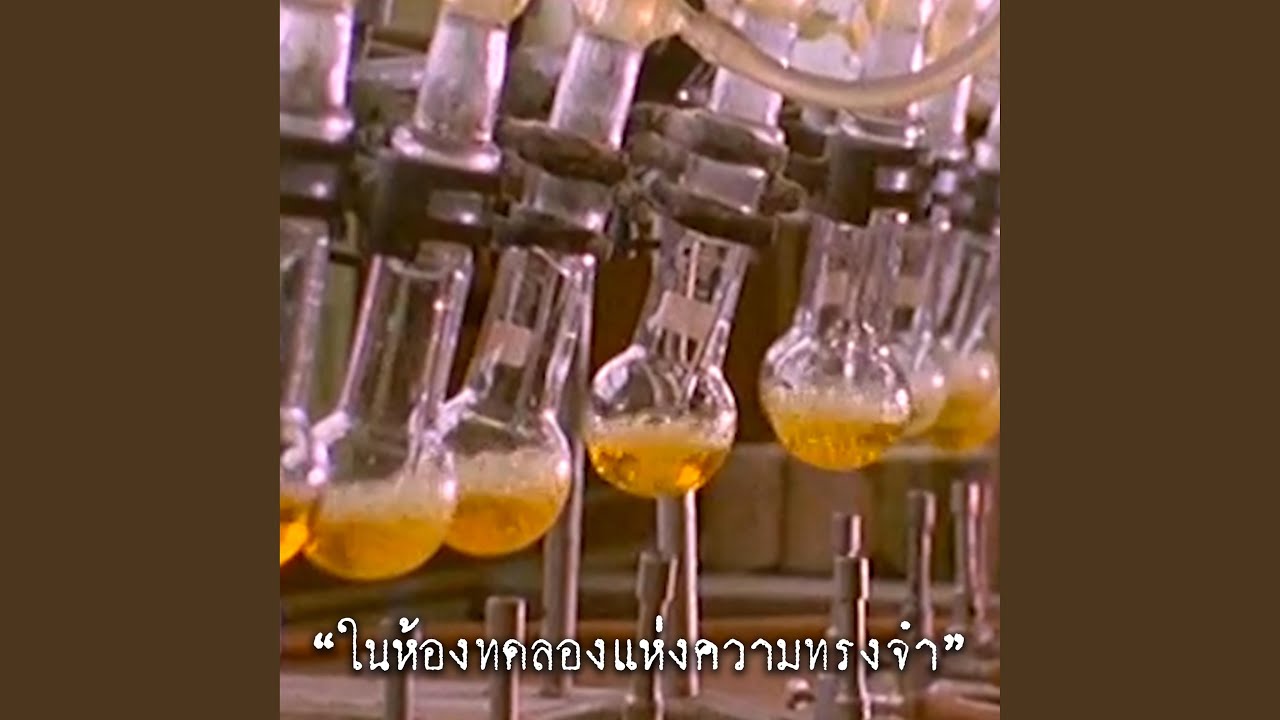 ในห้องทดลองแห่งความทรงจำ