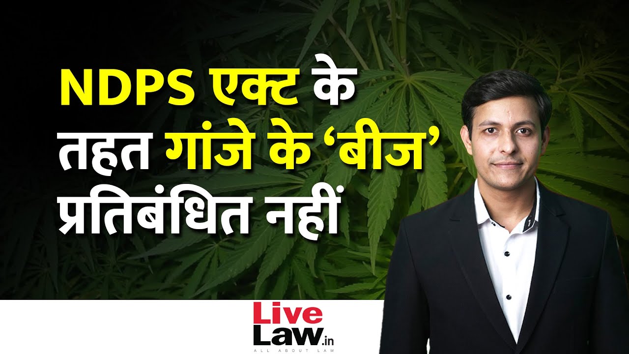 Ganja Seeds Not Banned Contraband Under NDPS Act : Supreme Court