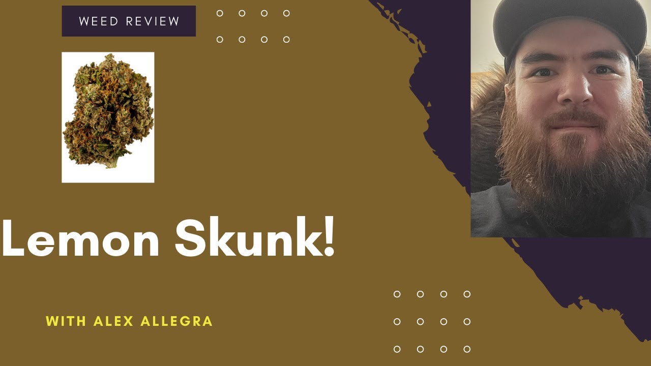 Marijuana review lemon skunk!