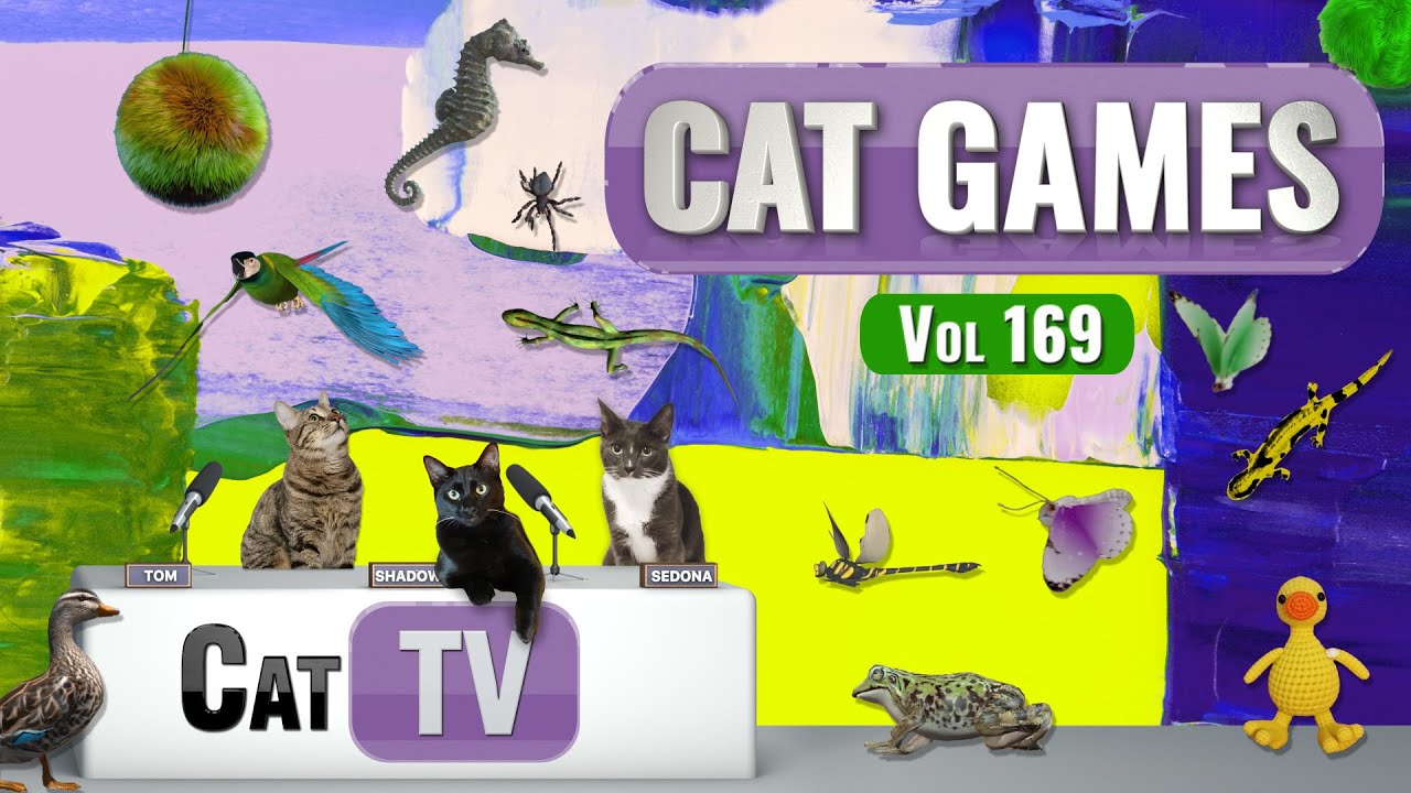 CAT Games | Ultimate Cat TV Compilation, том 169 | 8 ЧАСОВ 🐝🐞🦋🦎🦜🐜🐭🧵