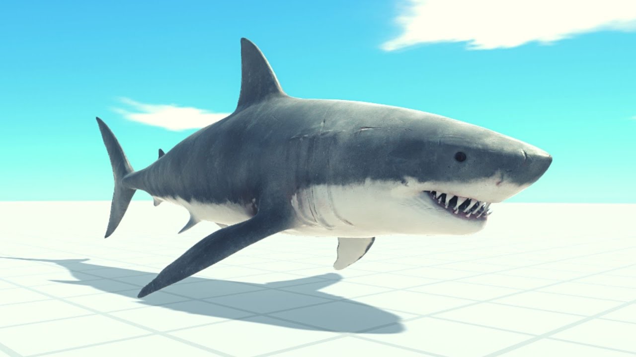New Unit! Great White Shark Vs Every Unit ARBS | Animal Revolt Battle Simulator
