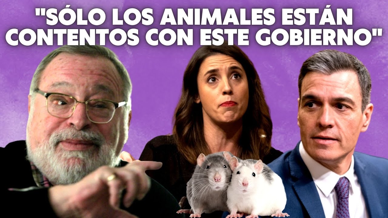 💥 Fernando Savater carga contra Sánchez: 