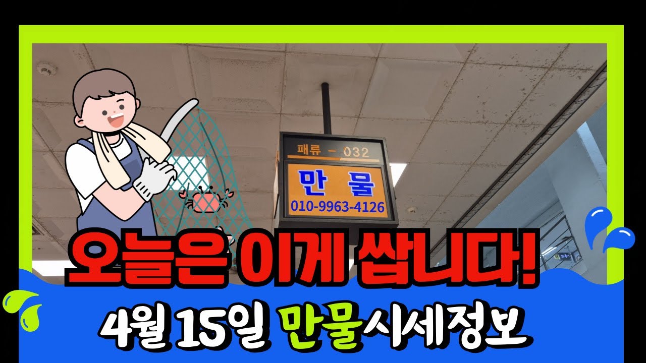 4월 15일 노량진수산시장 만물 (패류031) 시세정보 입니다. 36년 경력으로 믿고 찾아주세요☺