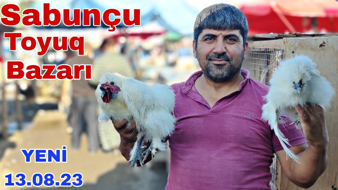 Sabunçu Toyuq Bazarı 13 Avqust 2023 @mubarizemintv2271