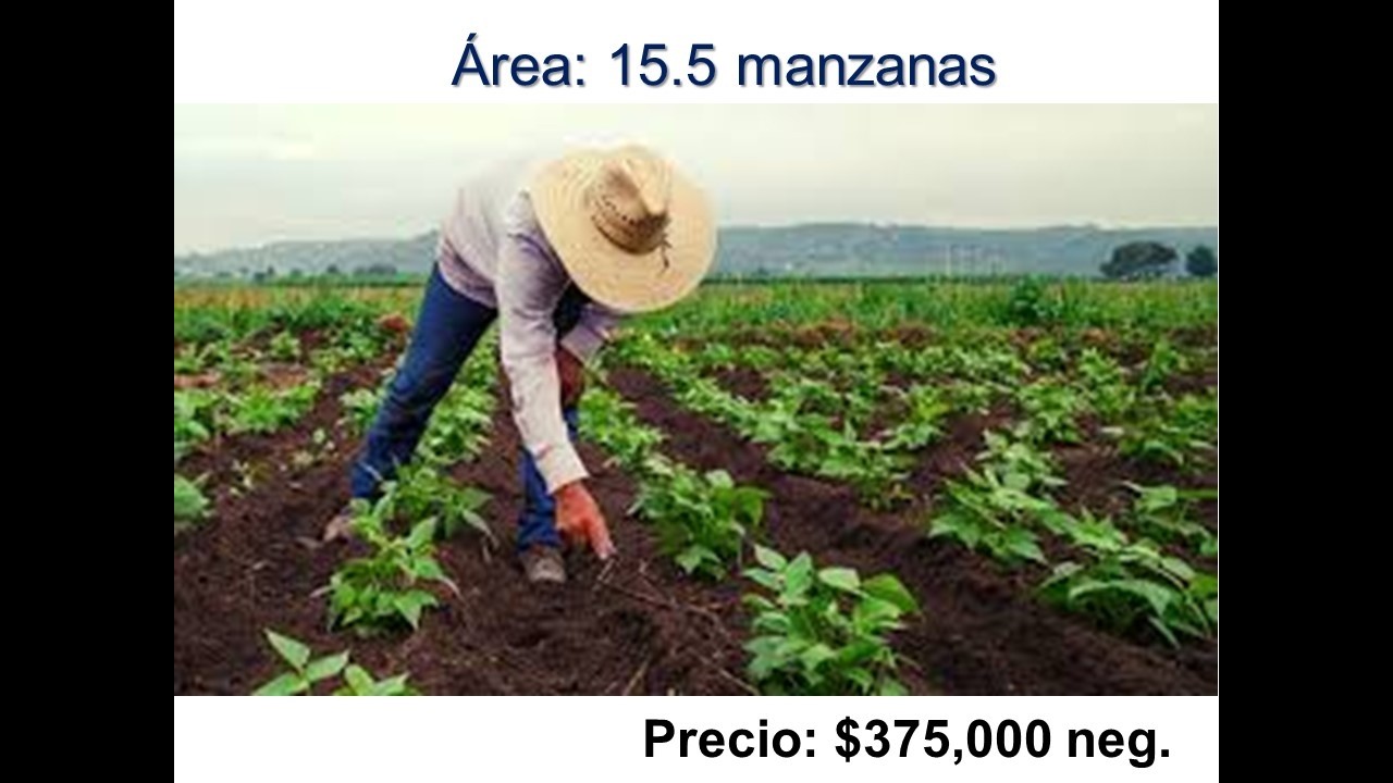 Venta de terreno en cantón Buena Vista, La Paz, El Salvador, uso agrícola/ganadera/Industrial #798