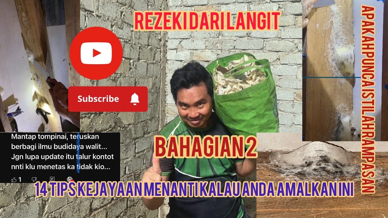 TIPS WALET: 14 TIPS UNTUK ANDA AMALKAN PASTI CEPAT BERKEMBANG. HASIL KEUNTUNGAN. Bahagian 2