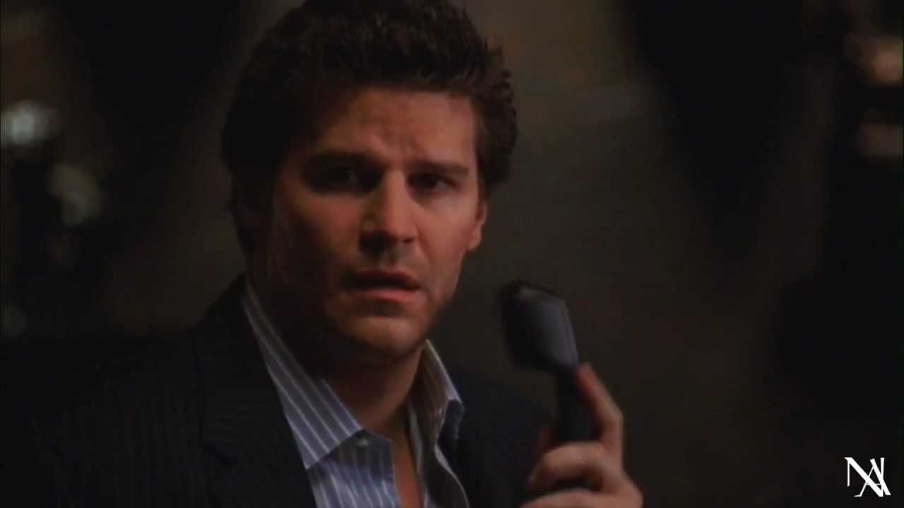 Angel (AtS) Season 5 ~ Some Nights