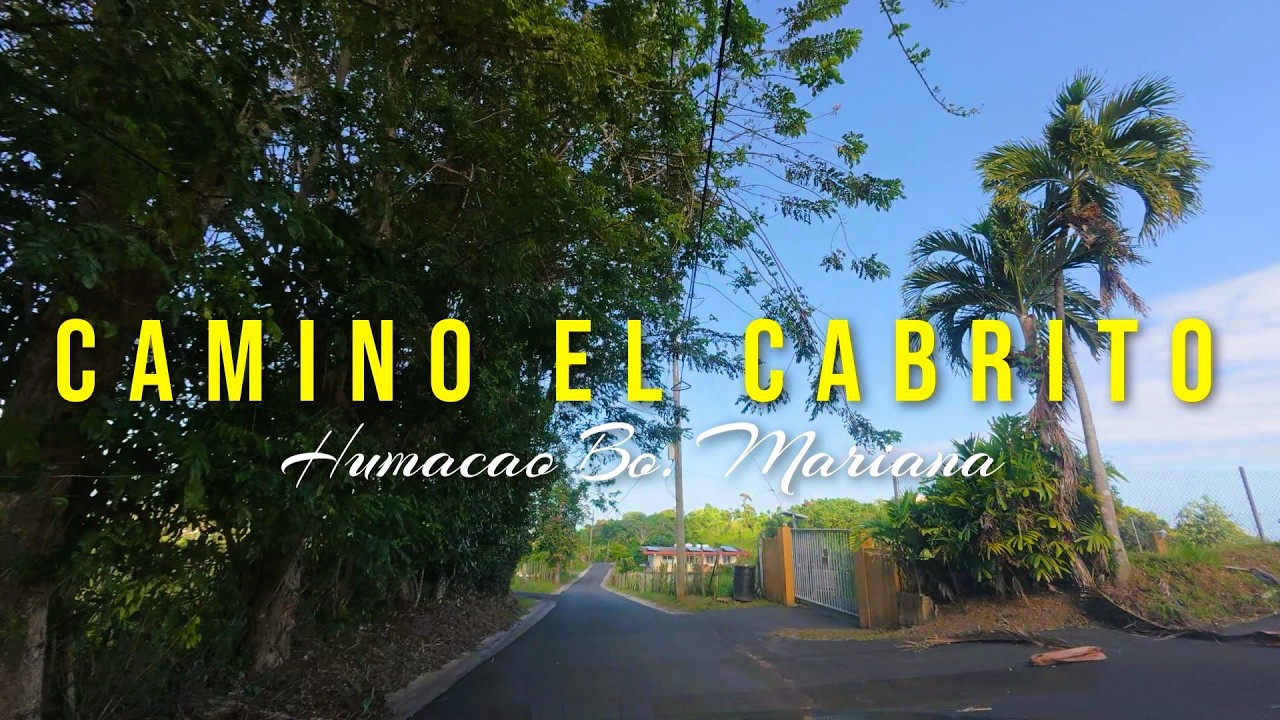 Primer Ruteo En Auto Por El Barrio Mariana De Humacao PR | En Ruta