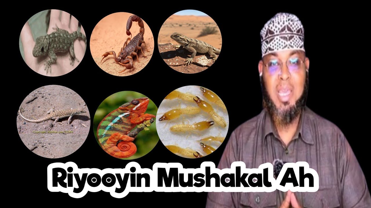 Riyooyin MushaKal Ah 