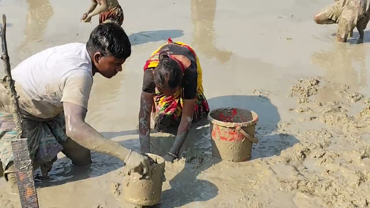 Traditional Mud Fishing by Village Women | Rural Life Bangladesh
