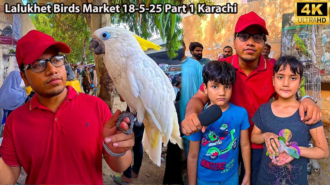 Lalukhet Exotic Birds Market 18-5-25 Part 1 Karachi | Rare and Unique Parrots Birds Hen and Rooster