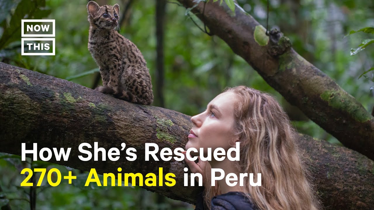 Amazon’s ‘Wildcat’ Doc Tells the Story of This Conservationist’s Work in Peru