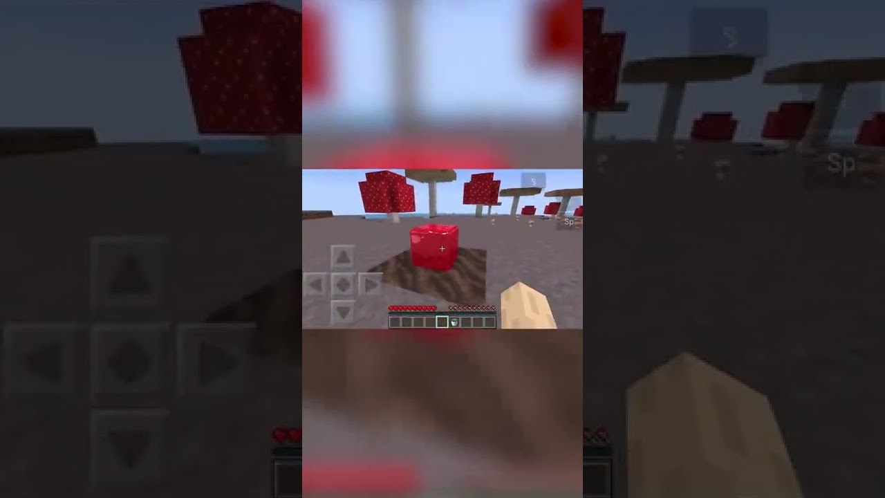 шорт
