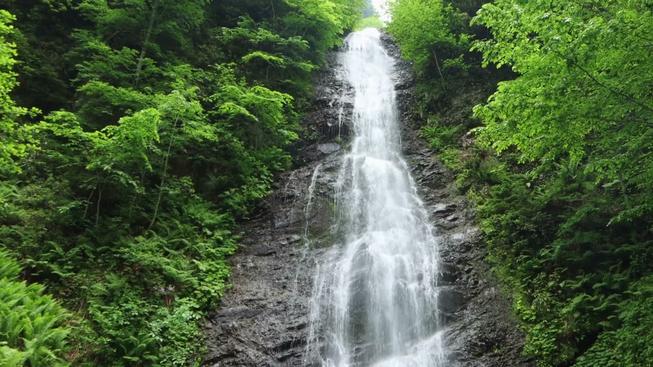 4 Hours of Waterfall Sounds 🌊 | Deep Sleep, Relaxation & Focus