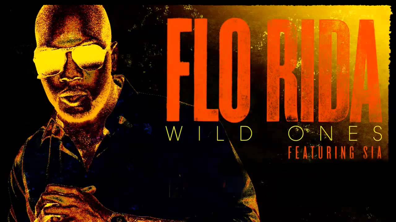 Flo Rida feat. Sia - Wild Ones (Timmokk Remix)