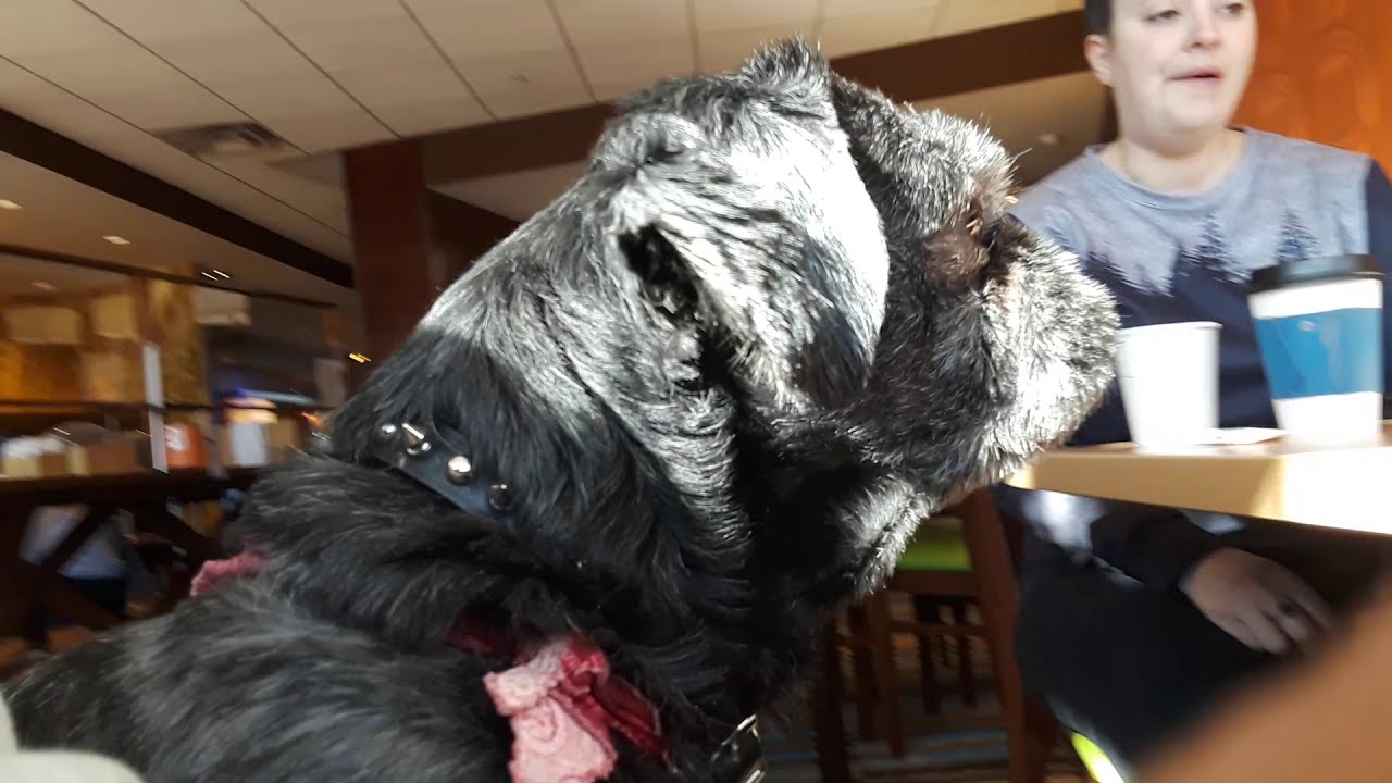 Best Free Breakfast on our road trip Fairfield Inn  Burlington, CO