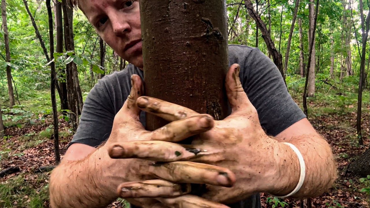 ASMR | Tree Massage in the Rain