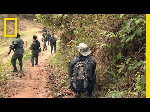 The Hills Have Eyes | Drugs, Inc.