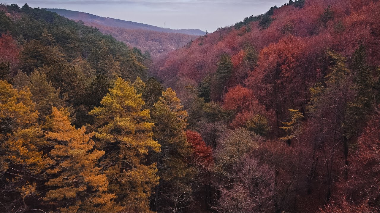 Noszvaj in autumn