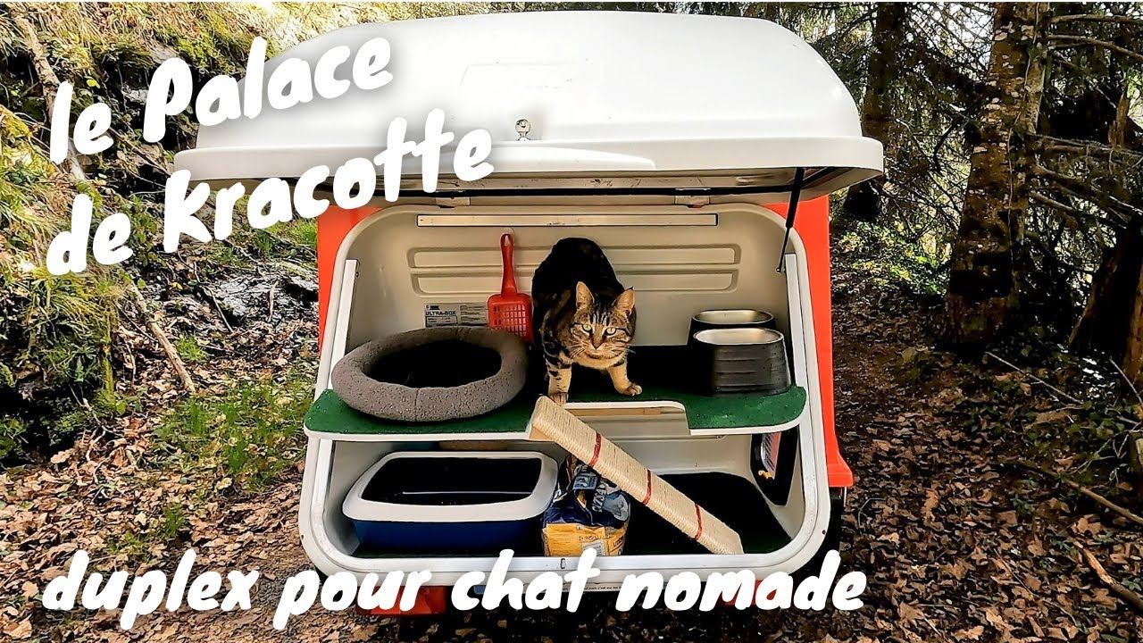 EP18 : Le mystère du coffre aménagé : duplex pour chat nomade #vanlife #aménagement van
