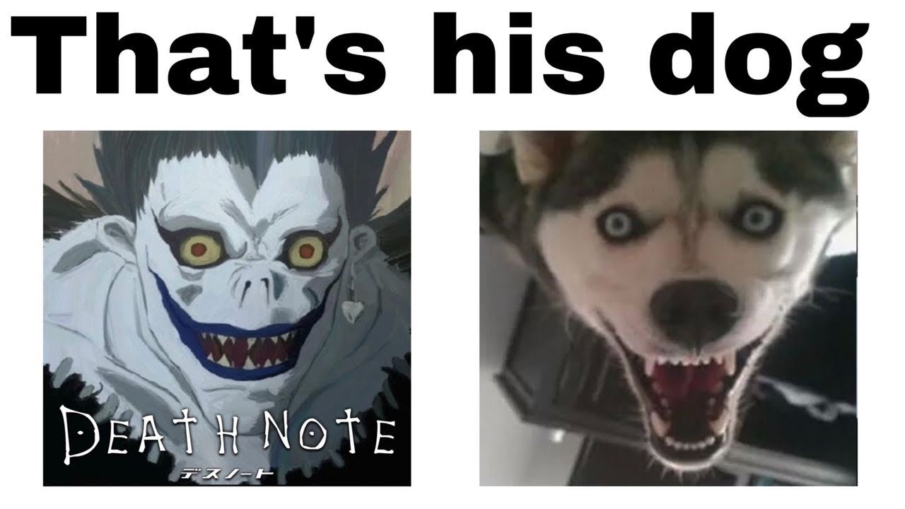 DEATH NOTE MEMES