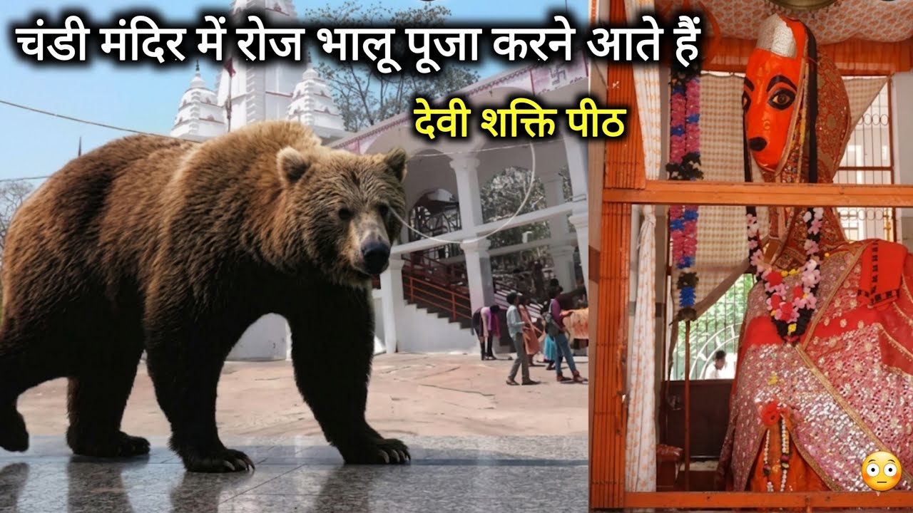 Chandi Mata Mandir Bagbahra Mahasamund | Chhattisgarh | Vlogs Rahul