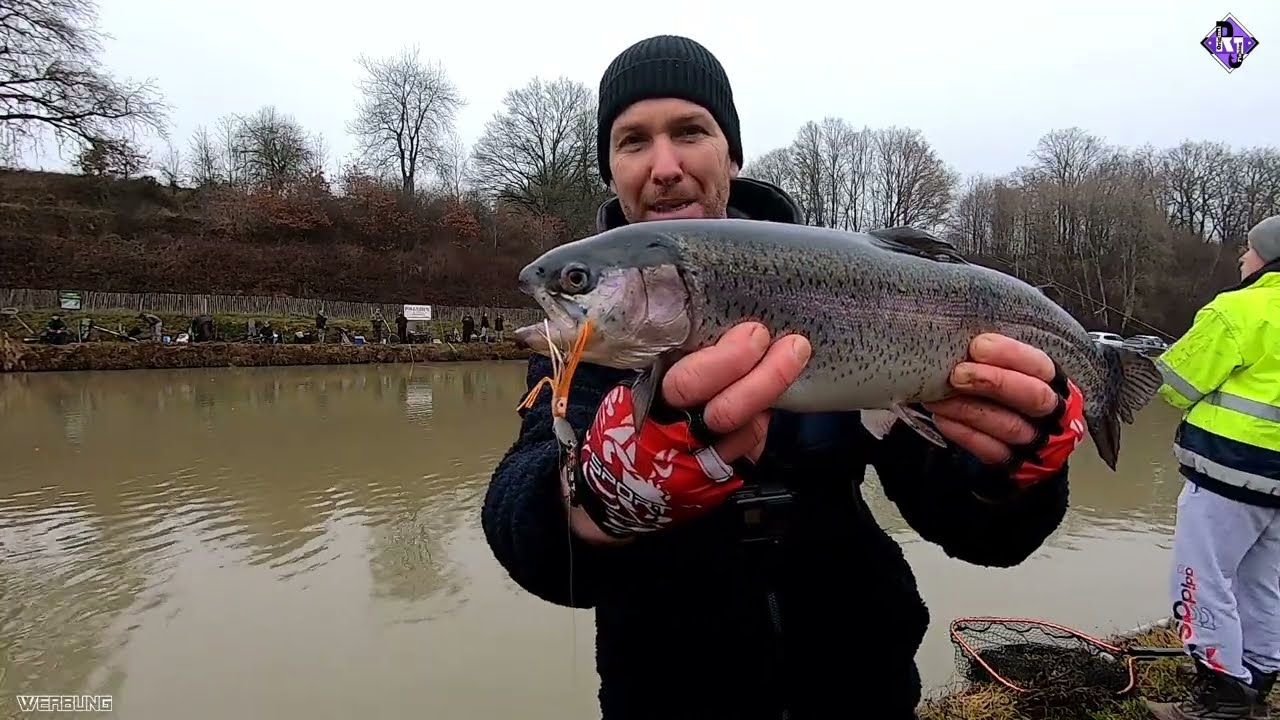 Lachsforellen Angeln in Frankreich / Paladin Fishing