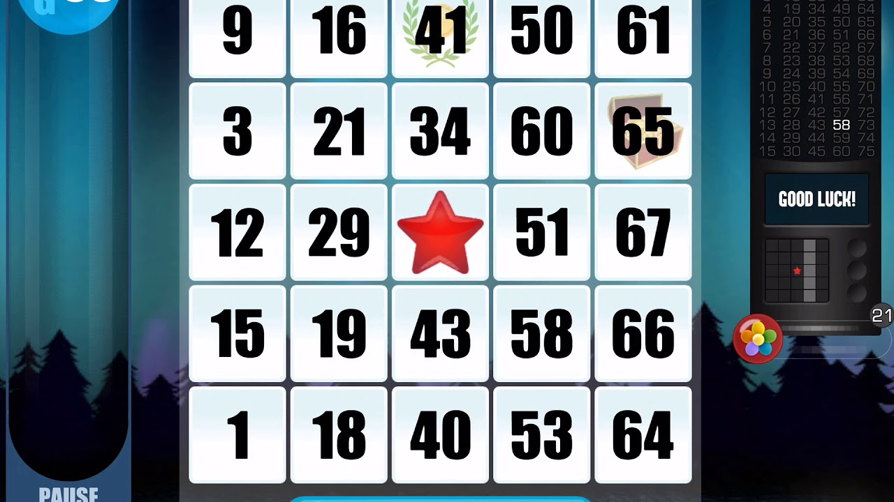 BINGO GAME #1-11/29/2018