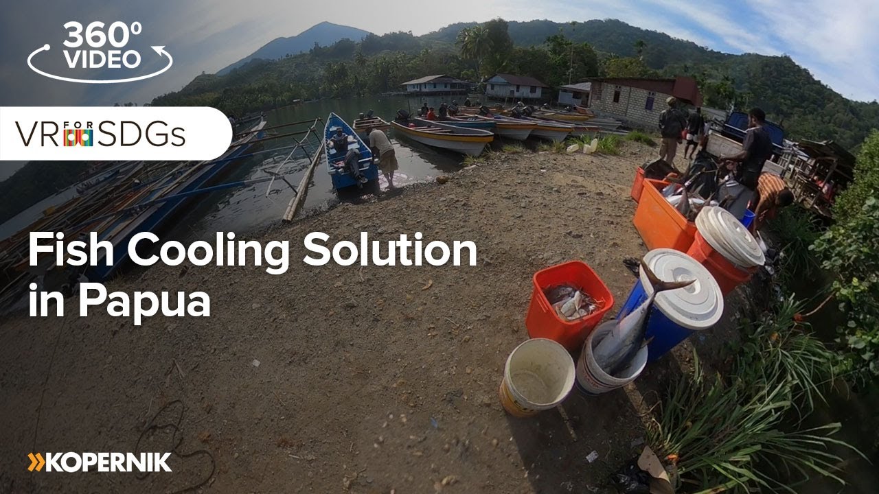Fish Cooling Solution in Papua