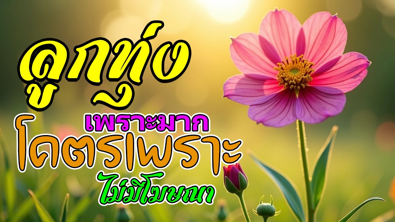 ลูกทุ่งเพราะมาก :  ลูกทุ่งเพื่อชีวิตโคตรเพราะ ฟังต่อเนื่องหลายเพลง ไม่มีโฆษณา