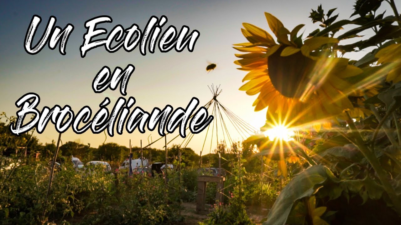 🐉 La Guette, un Écolieu au cœur de la forêt de Brocéliande (Paimpont 😉)