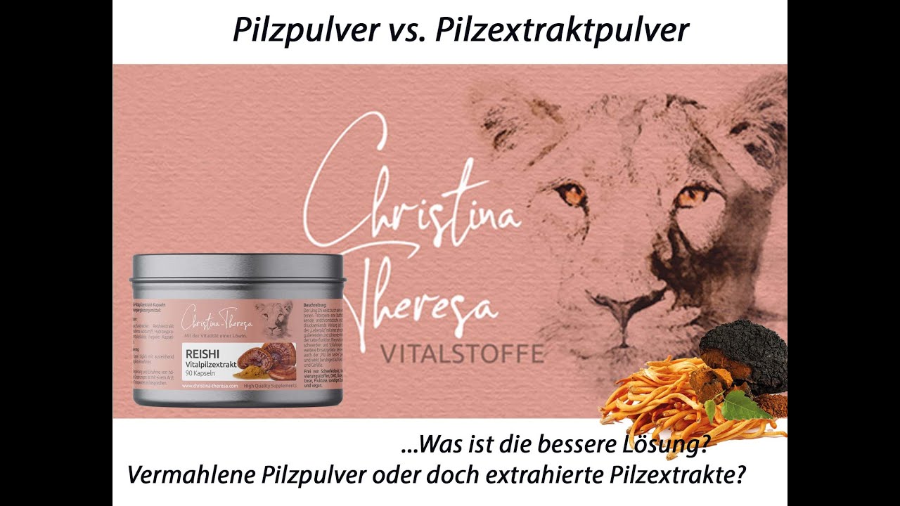 Pilzpulver vs Pilzextrakt Pulver | Was ist die bessere L&ouml;sung?