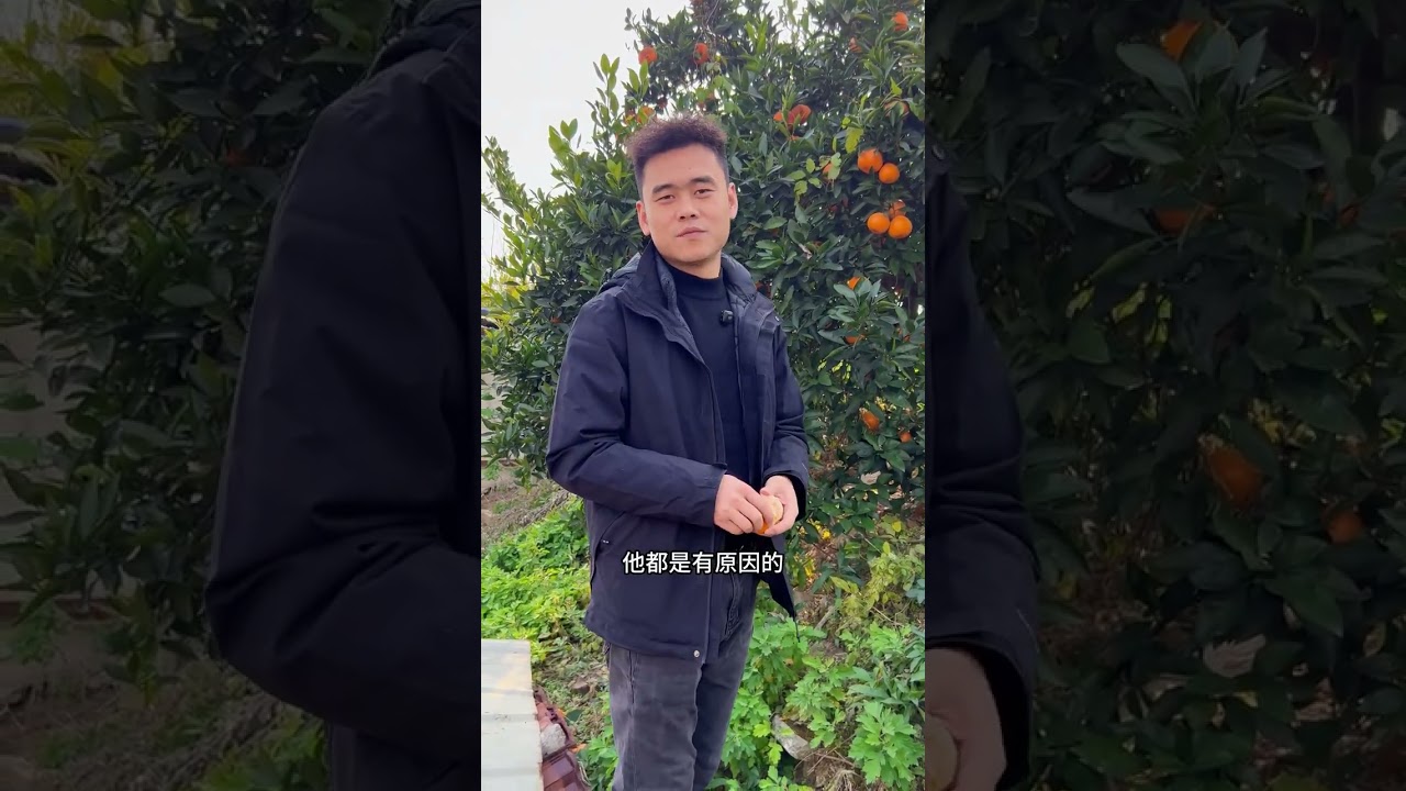 72岁的时光磨软了性子，没磨掉心里的慈，也没改了骨子里的朴 凌晨两点的风裹着菜香，她的菜篮子里，从来都是装着儿女们的日子#真实生活分享计划 #三农 #蹭饭专业户 #乡村生活 #乡村烟火气最抚凡人心