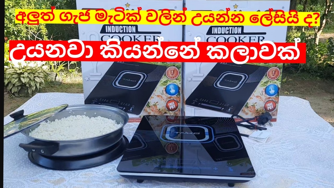 INDUCTION COOKER බත් මාළු පිනි හදන්න ඕනම තැනක අරන් ගිහින් උයා ගන්න ඉක්මණින් වැඩ කර ගන්න පුළුවන්