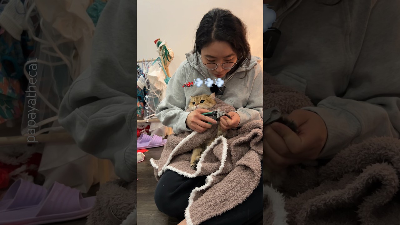 Manicure with my 👹 Watch full video on YT 📺 #cat