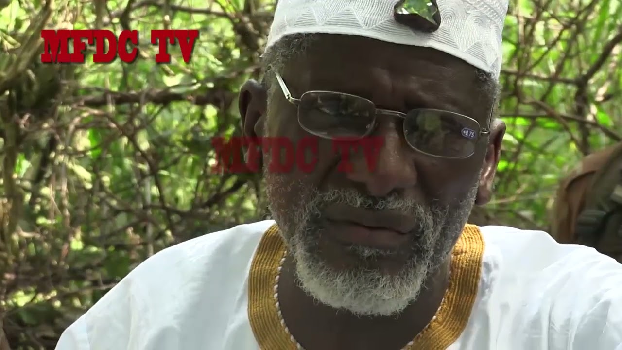 L'INCROYABLE HISTOIRE DE LA VIE - SALIF /THE AMAZING LIFE STORY - SALIF