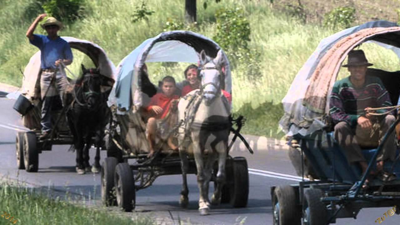 РОМАЛЭ - ОЛЬГА РЕЗНИЧЕНКО (ШУНОВА)