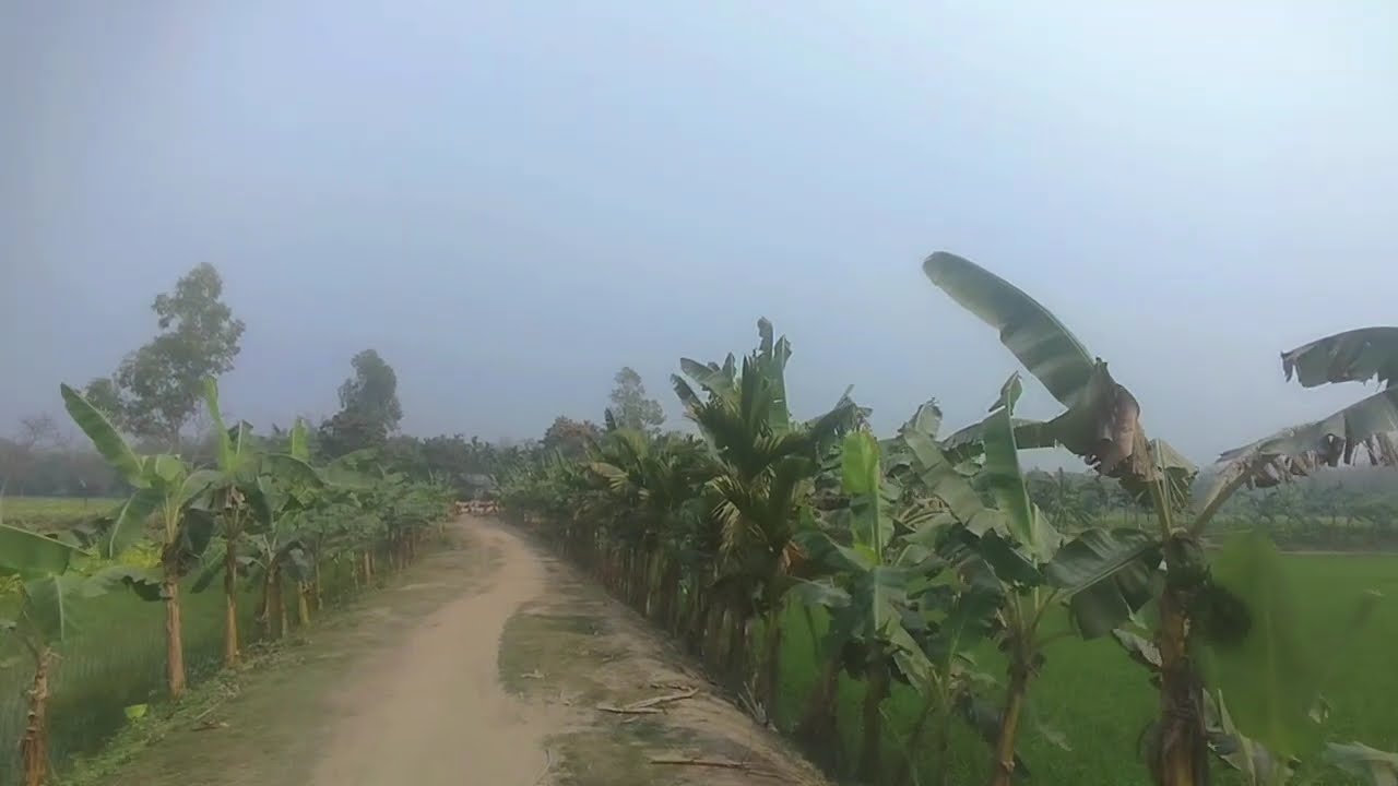  😭 Ei Dehar Mulya Nai 😭 Mon Mor Rosona | Zubeen Garg