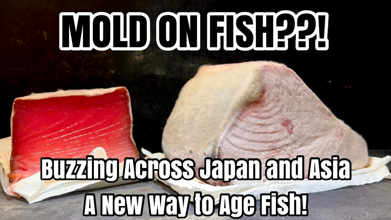 Aging Fish with Mold!? Japan&rsquo;s New Fermentation Breakthrough!