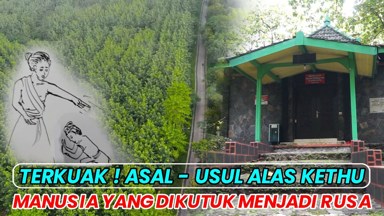 ASAL USUL ALAS KETHU WONOGIRI: HUTAN YANG DIJAGA SEEKOR RUSA