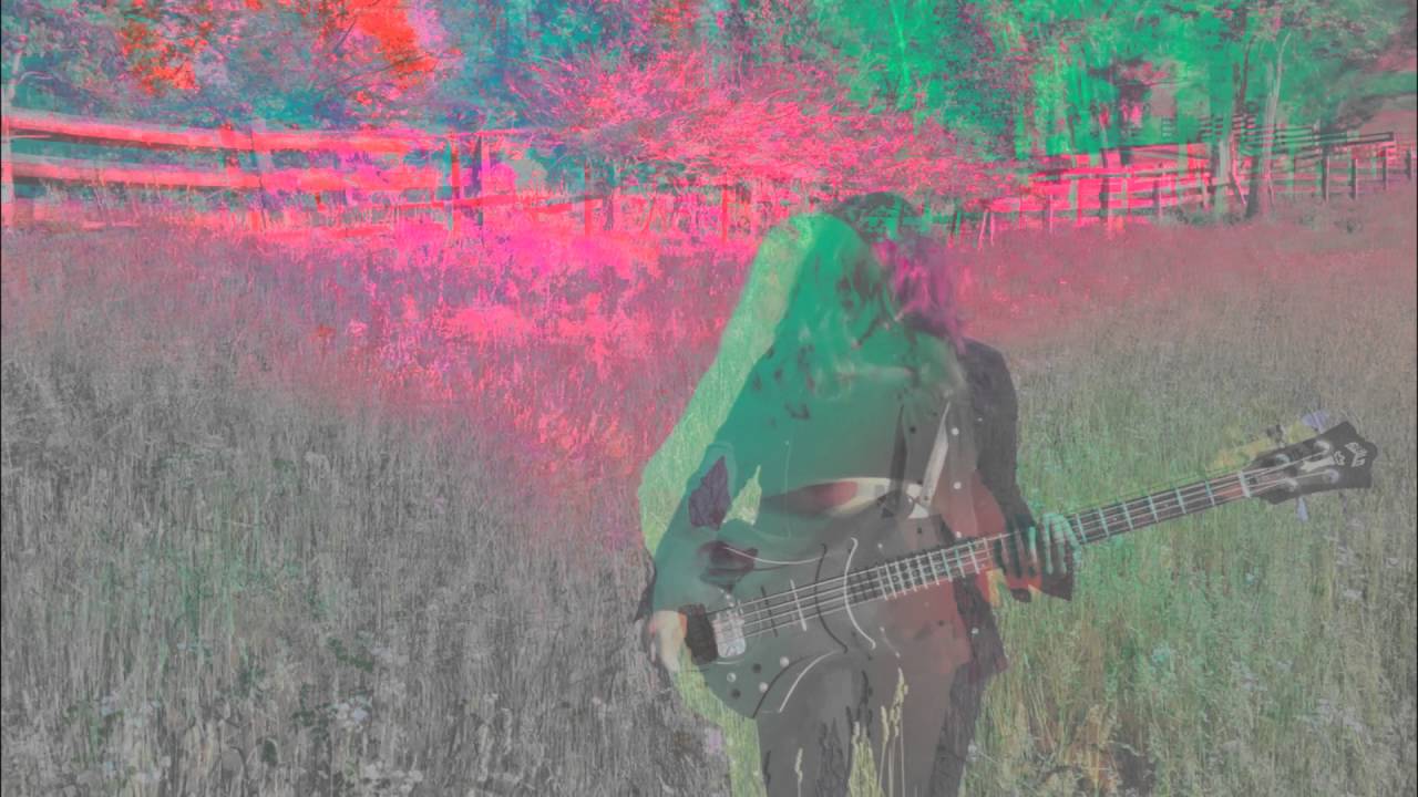 BETTY BLACK ' DANDELION '