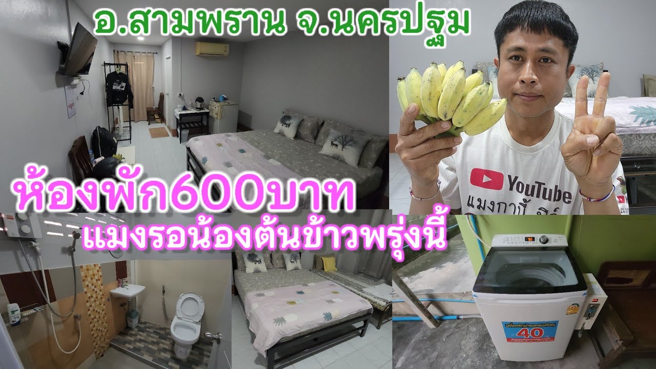 แมงกาบี้รอไลฟ์สดน้องต้นข้าว ในวันพรุ่งนี้ 7มีนาคม69 วัดทรงคะนอง อ.สามพราน จ.นครปฐม วันนี้พัก1วัน