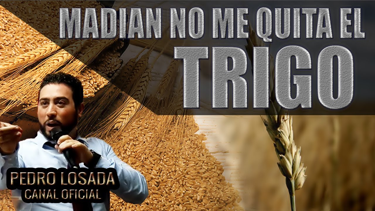 Pedro Losada | MADIAN NO ME QUITA EL TRIGO 2 / DVD