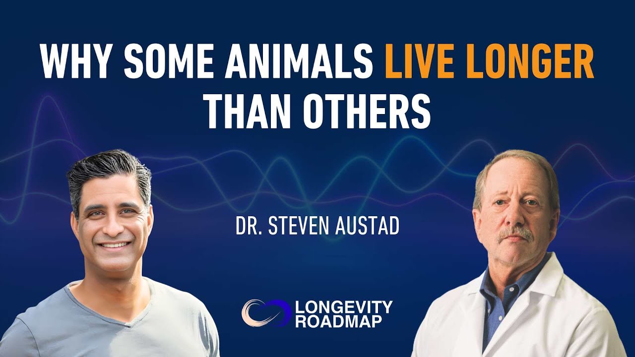 Why Some Animals Live Longer Than Others w/ Dr. Steven Austad
