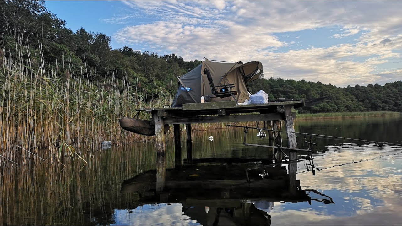 Zasiadka karpiowa na drewnianej platformie , jezioro 56 ha, karp, karpie,